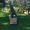 Image 24