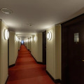 Image 15