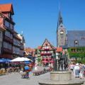 Image 13