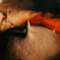 Image 15