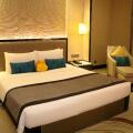 Pacific Regency Hotel Suites