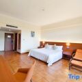 Golden Palm Resort