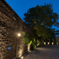 Image 15