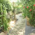Dionis Villa