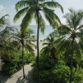 Noku Maldives, Vignette Collection By Ihg