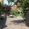 Image 15