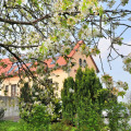 Image 22