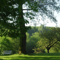 Image 15