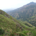 Image 18
