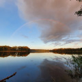 Image 15