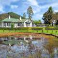The Oliphant Boutique Villa