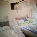 Frangipani Beach Villa
