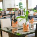 Sea Links Muine
