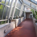 Image 22