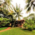 Kairali - The Ayurvedic Healing Village