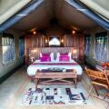 Madulkelle Tea And Eco Lodge