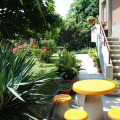 Image 12