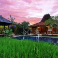 Ubud Heaven Penestanan