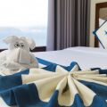 Apus Hotel Nha Trang
