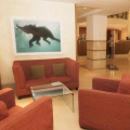 Image 21