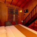 Alpine Hotel