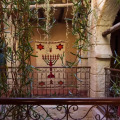 Image 13