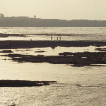 Image 23