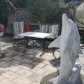Image 14