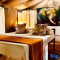 Mahoora Tented Safari Camp - Wilpattu