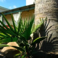 Image 19