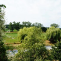 Image 23