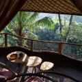 Bambu Indah