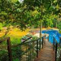Jungle Village