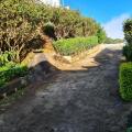 Spring Acre