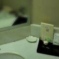 Tang Dynasty Park Hotel