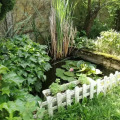 Image 16