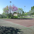 Image 31