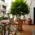 Image 15