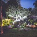 Villa White Queen