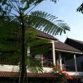 Villa Molek