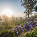 Goatfell Nuwara-Eliya