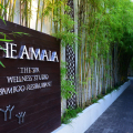 The Amala