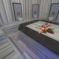 Image 20