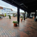 Image 14