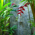 Reef Villa 