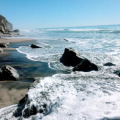 Image 14