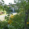 Image 10