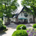 Image 15