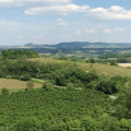 Image 23