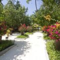 Embudu Village Resort